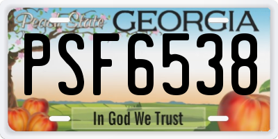 GA license plate PSF6538