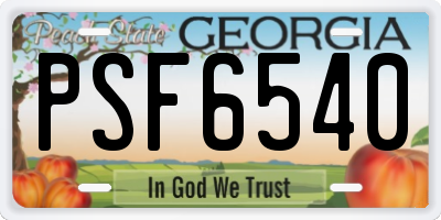 GA license plate PSF6540