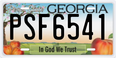 GA license plate PSF6541