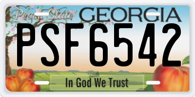 GA license plate PSF6542