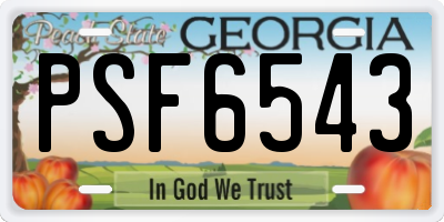 GA license plate PSF6543