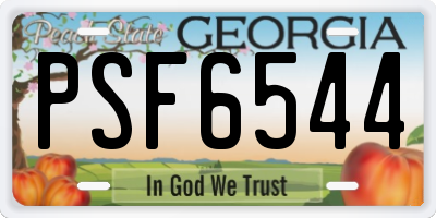 GA license plate PSF6544
