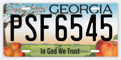 GA license plate PSF6545