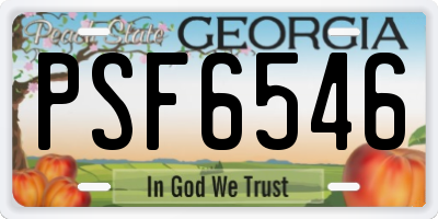 GA license plate PSF6546