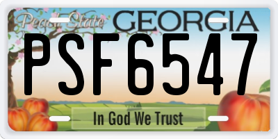 GA license plate PSF6547