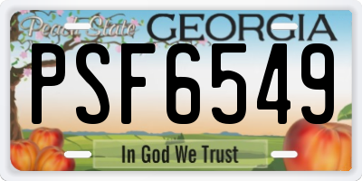 GA license plate PSF6549