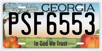 GA license plate PSF6553