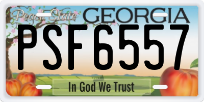 GA license plate PSF6557