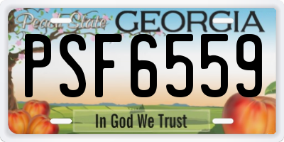 GA license plate PSF6559