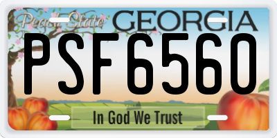 GA license plate PSF6560