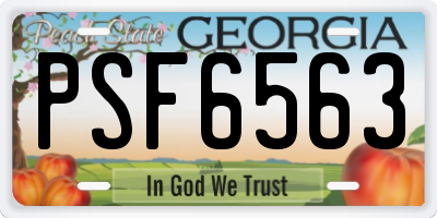GA license plate PSF6563