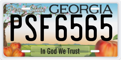 GA license plate PSF6565