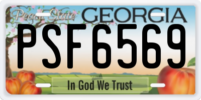 GA license plate PSF6569