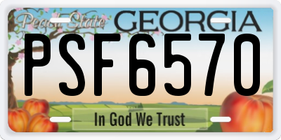 GA license plate PSF6570