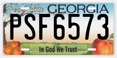 GA license plate PSF6573