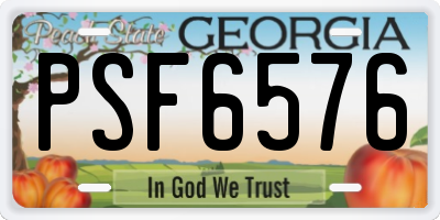 GA license plate PSF6576