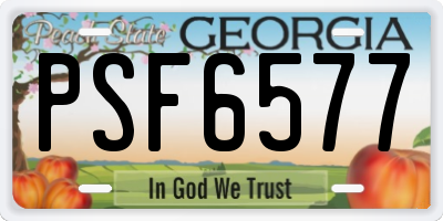 GA license plate PSF6577