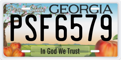 GA license plate PSF6579