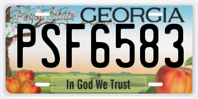 GA license plate PSF6583