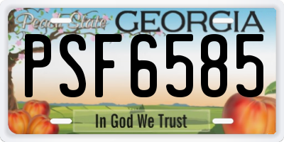 GA license plate PSF6585