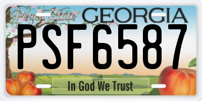 GA license plate PSF6587
