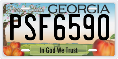 GA license plate PSF6590