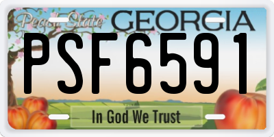 GA license plate PSF6591