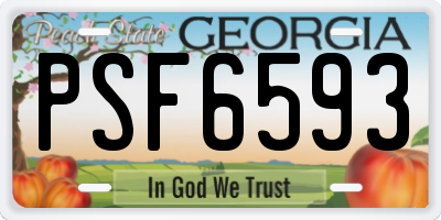 GA license plate PSF6593