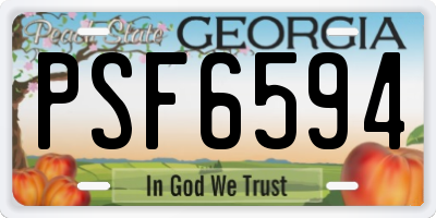 GA license plate PSF6594