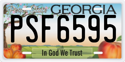 GA license plate PSF6595