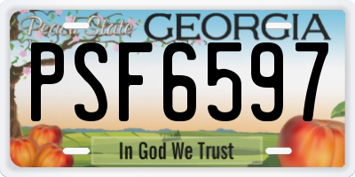 GA license plate PSF6597