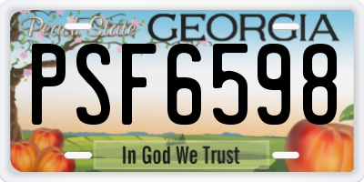 GA license plate PSF6598