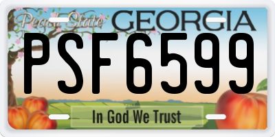 GA license plate PSF6599