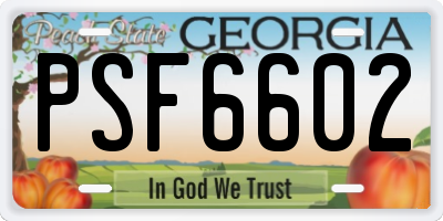 GA license plate PSF6602