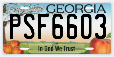 GA license plate PSF6603