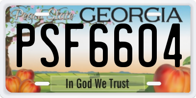 GA license plate PSF6604