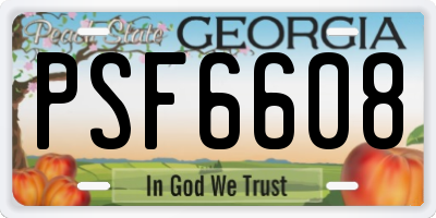 GA license plate PSF6608