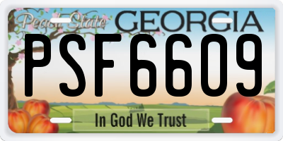 GA license plate PSF6609