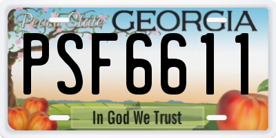 GA license plate PSF6611