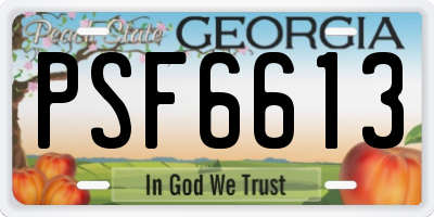 GA license plate PSF6613