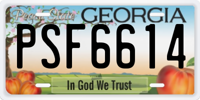 GA license plate PSF6614