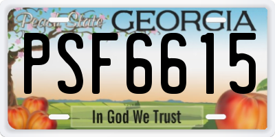 GA license plate PSF6615