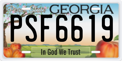 GA license plate PSF6619