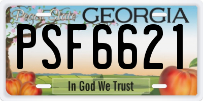 GA license plate PSF6621