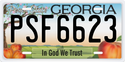 GA license plate PSF6623