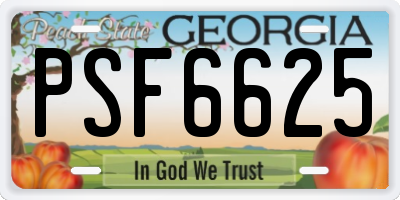 GA license plate PSF6625