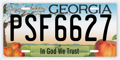 GA license plate PSF6627