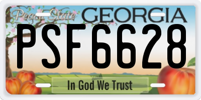 GA license plate PSF6628