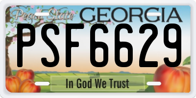 GA license plate PSF6629