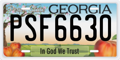 GA license plate PSF6630